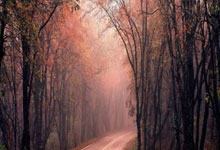 金正恩视角下的韩国：彻底的敌国与永远的敌人生存状态