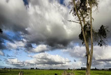 人民日报热议“护学岗”争议：安全守护与效率平衡的探讨