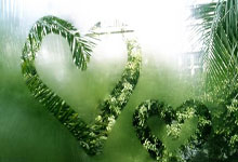 金正恩视角下的韩国：彻底的敌国与永远的敌人生存状态