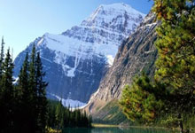 特朗普自曝：妻子对跳舞情有独钟，他却深感无奈