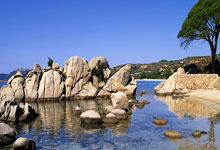 人民日报热议“护学岗”争议：安全守护与效率平衡的探讨